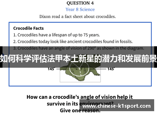 如何科学评估法甲本土新星的潜力和发展前景
